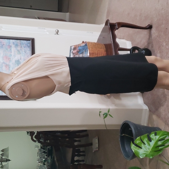 Red Clover L chiffon deep vneck crisscross back ribbed skirt Goldilocks length - Picture 8 of 9